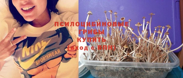 PSILOCYBIN Надым