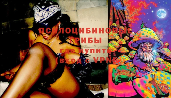 герыч Алексин