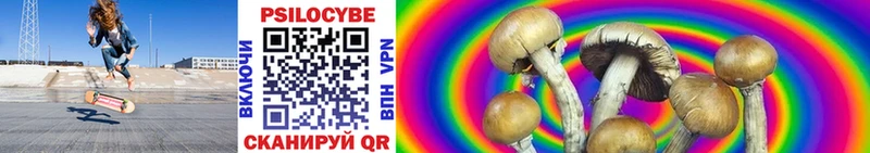 купить   Нижнеудинск  Галлюциногенные грибы Psilocybine cubensis 